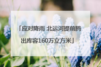应对降雨 北运河提前腾出库容160万立方米